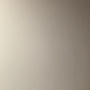 Meet your Posher, Fiona